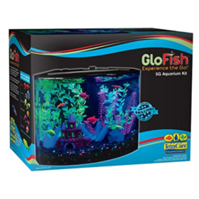 Acuario Glofish 5Gl