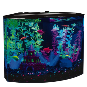 Acuario Glofish 5Gl