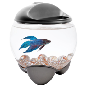 Pecera Betta Bubble 1.9LT