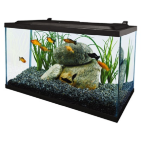 Acuario Complete LED 10GL