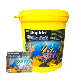Sal marina Dophin