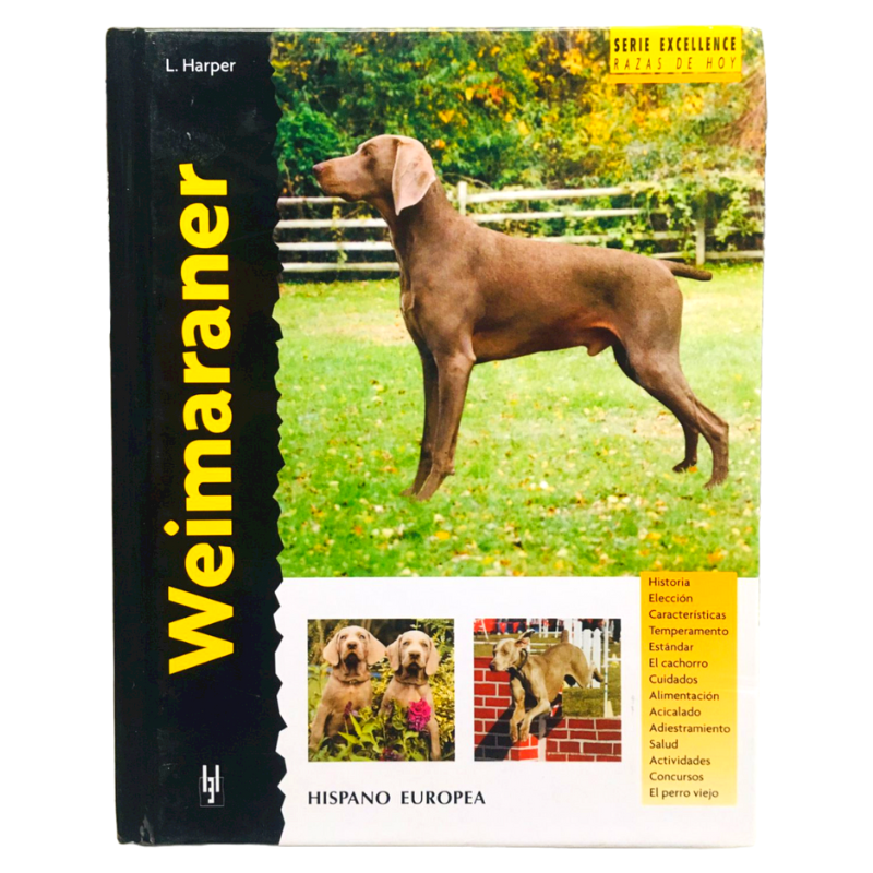 Weimaraner